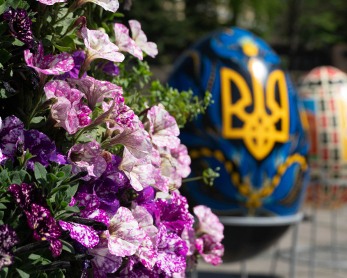 Яскраві квіткові насадження в Ужгороді
