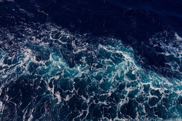 Światowy ocean szybko ciemnieje: naukowcy biją na alarm