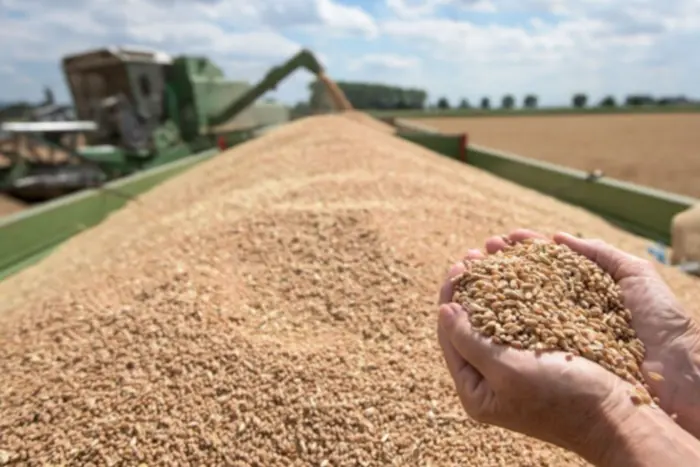 The EU has significantly reduced the volume of imports of Ukrainian grain and sugar