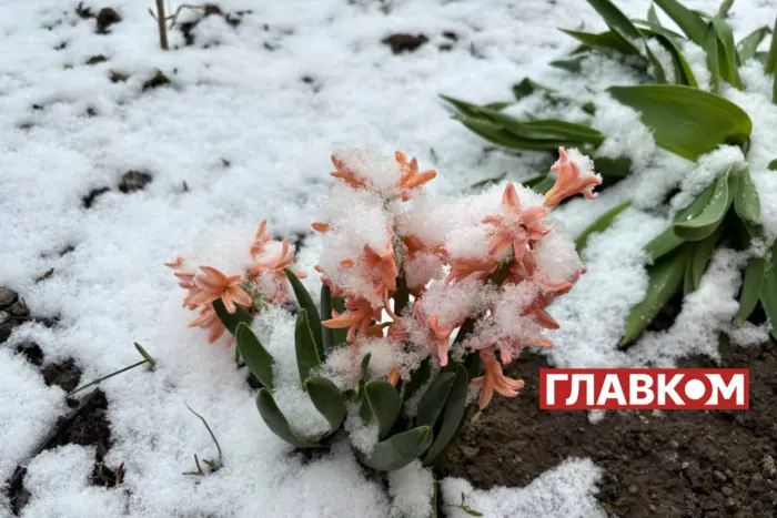 April überrascht: Am vierten Tag in Folge wird die Ukraine von Schnee bedeckt (Foto)