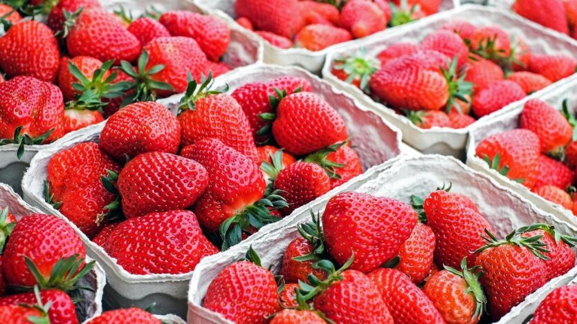 Strawberry prices are skyrocketing: experts explained when the berry will become cheaper