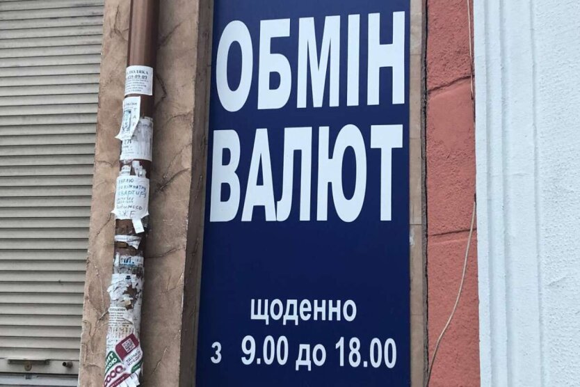 Dollar exchange rate in Ukraine: expert reported whether to expect surprises before June 1