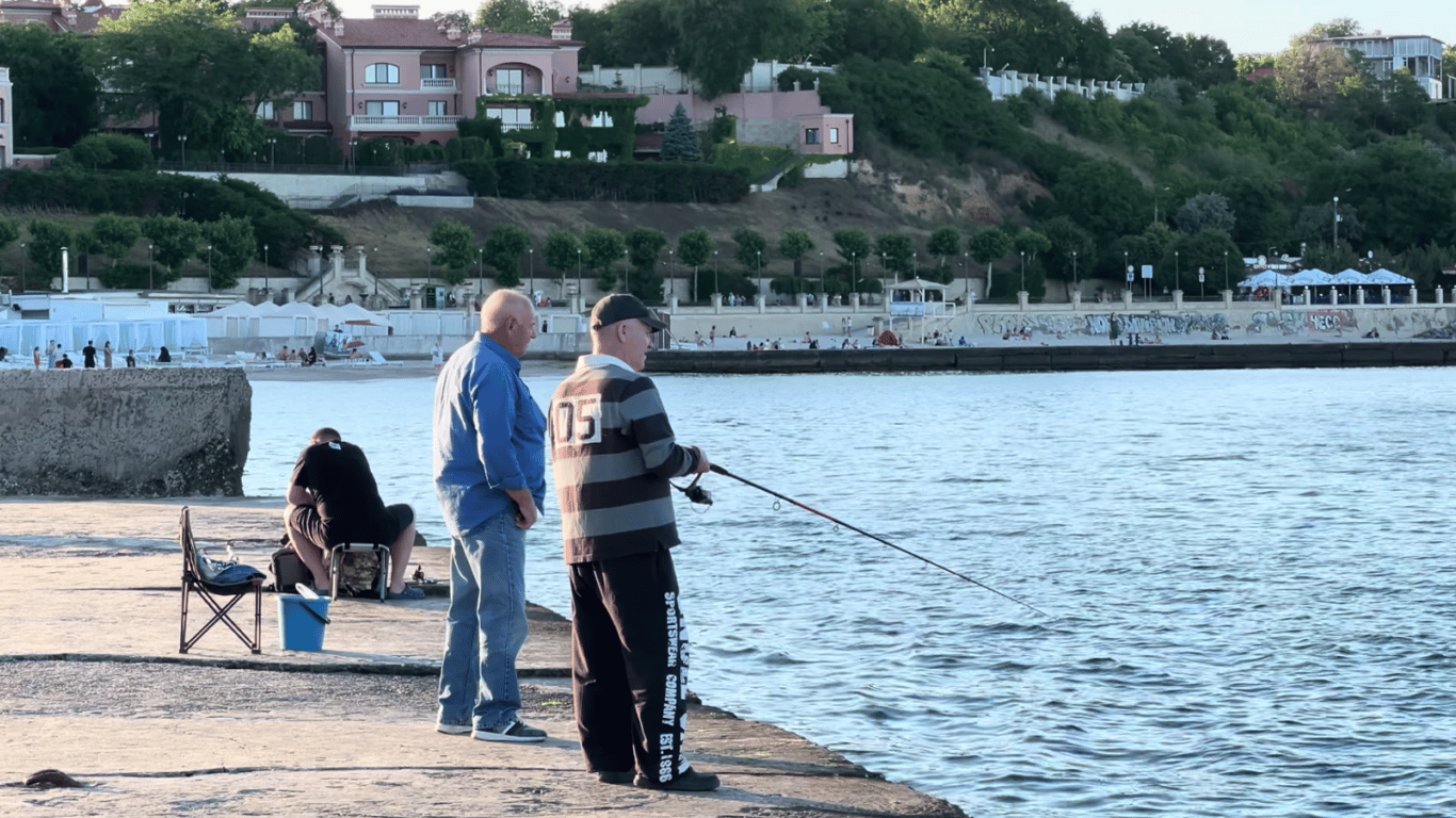 Эколог рассказал, стоит ли есть морепродукты из Черного моря